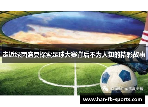 走近绿茵盛宴探索足球大赛背后不为人知的精彩故事 走近绿茵盛宴探索足球大赛背后不为人知的精彩故事