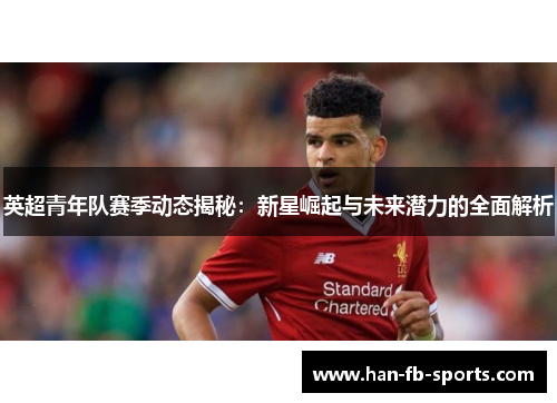 英超青年队赛季动态揭秘:新星崛起与未来潜力的全面解析 英超青年队赛季动态揭秘:新星崛起与未来潜力的全面解析